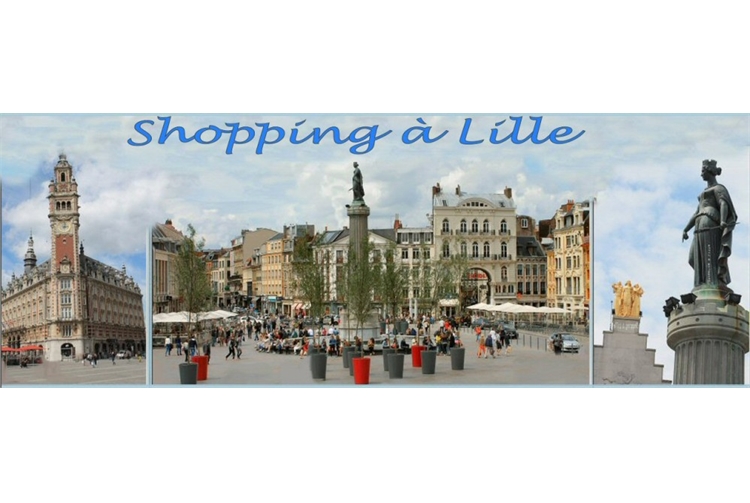 Journée libre à Lille (shopping - soldes)